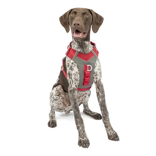 Kurgo Journey Air Harness - RED MD - Weiteres Autozubehör für aktive Hunde: Das komfortable Geschirr mit V-Ausschnitt und reflektierenden Streifen sorgt für Sicherheit und Bewegungsfreiheit.