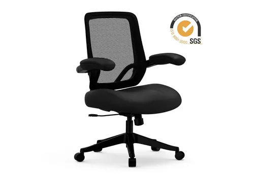 Büro- & Schreibtischstühle Schwarz von FLEXISPOT