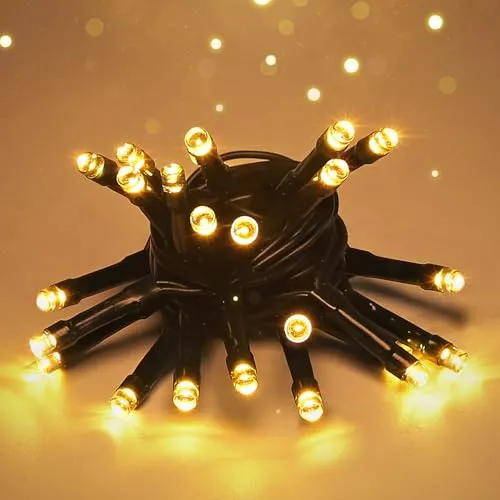 SALCAR LED Lichterkette Außen USB, 2M 20LED von SALCAR