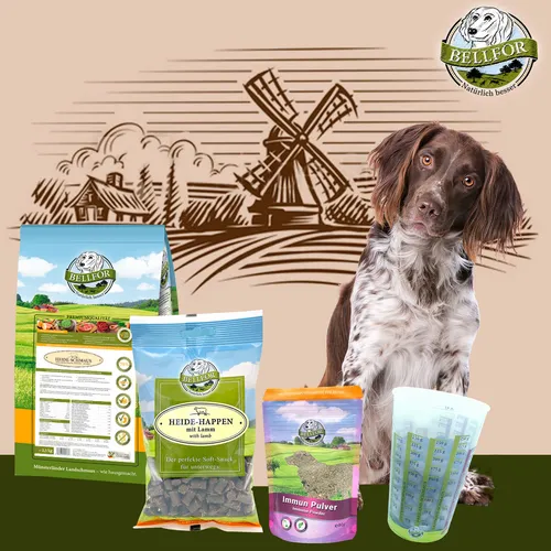 Bellfor Trockenfutter Hunde Soft Snack Immun Pulver Sparpaket - Getreidefreies Trockenfutter für Hunde, made in Germany. Ideal für das Wohlbefinden Ihres Vierbeiners mit hochwertigem Lamm als Hauptzutat. Perfekt für alle Hundegrößen.