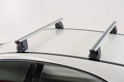 Menabo Delta Silver Dachträger für Volkswagen T5 Transporter, Modell 2009-2015