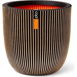 Capi Europe in gold von Capi Europe