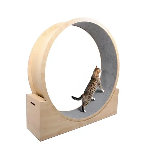 Elmato® Katzenlaufrad Simba XXL - Stehend, Natur/Grau - Teppiche und Spielzeug für Katzen, fördert Vitalität und Bewegung, gelenkschonend und leise für stressfreies Training zu jeder Tageszeit.