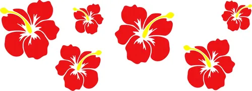 Aufkleber Hibiskusblüten-Set 490 x 160 mm Sticker Auto Blumen