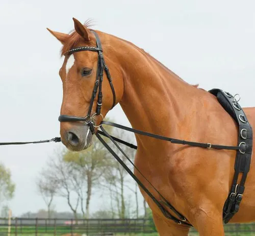 Leder Dreieckszügel >BASIC< Größe PO schwarz Busse