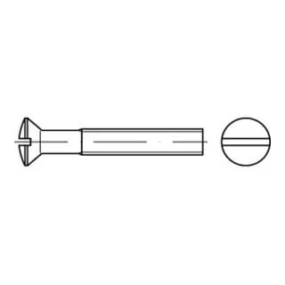ISO 2010 LinsenSenkkopfschraube M6x20 aus Messing, 200 Stück - Maschinenschrauben aus galvanisch vernickeltem Messing, korrosionsbeständig und ideal für präzise Anwendungen.