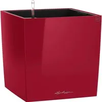 Lechuza CUBE Premium 50 rot hochglanz von Lechuza