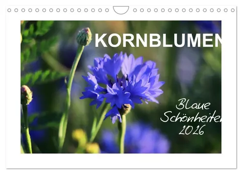 Sabine Löwer | Kornblumen - Blaue Schönheiten (Wandkalender 2026 DIN A4...