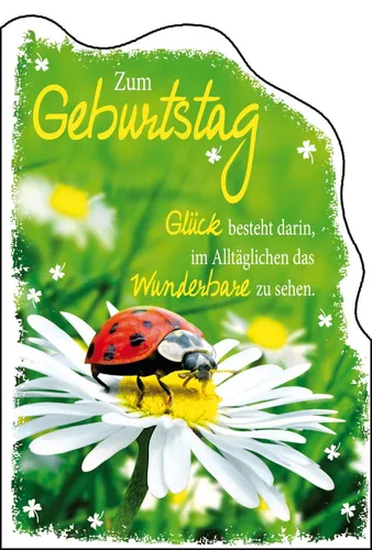 Geburtstag - Glückwunschkarte im Format 11,5 x 17 cm mit Briefumschlag