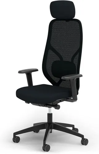 Ergotopia Bürostuhl MasterBack ergonomischer Schreibtischstuhl mit Kopfstütze (bereits montiert)