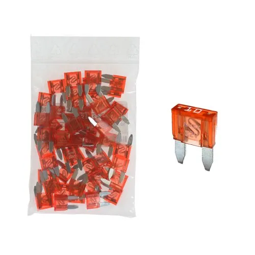 Birsppy 50 Flachstecksicherung Mini-Sicherung 10A / 32V / rot