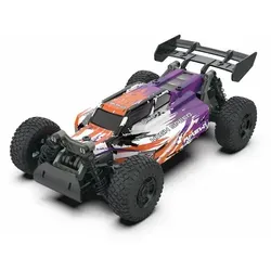 Amewi RC Auto Race Buggy DIY