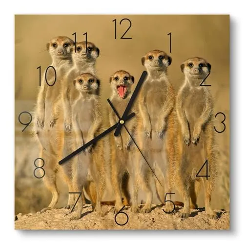 DEQORI Glasuhr - Wachsame Freunde, 30x30 cm - Wanduhren mit 3D-Tiefeneffekt und hochwertigem bruchsicherem Glas, inklusive Wandhalterung für schnellen Einsatz. Ideal als moderner Hingucker für Wohnzimmer und Küche.