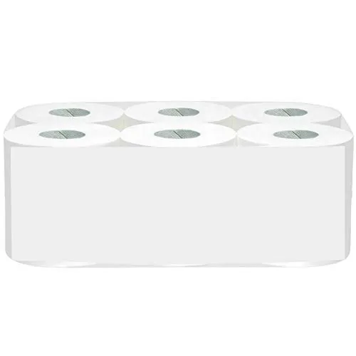 Toilettenpapier Mini Jumbo, 2-lagig, weiss, 12 Rollen