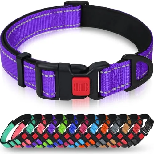 Taglory Hundehalsband, Weich Gepolstertes Neopren Nylon Hunde Halsband für Welpen, Verstellbare und Reflektierend für das Training, Lila