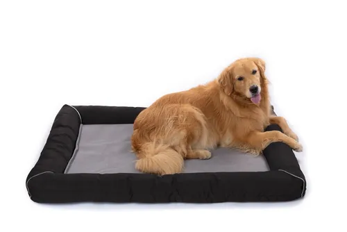 RAIKOU Hundematte - Abnehmbares & Waschbares Hundebett - Hundebetten in verschiedenen Größen, mit rutschfestem Boden und aus weichem Plüsch für optimalen Komfort und Hygiene.