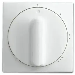 Busch-Jaeger 2542 DR/01-914 Zentralscheibe mit Drehgriff, mit Aufdruck Symbol