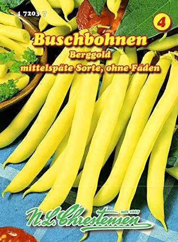 Buschbohnen, Berggold mittel, gelb, ohne Fäden N.L.Chrestensen Samen 472037-B