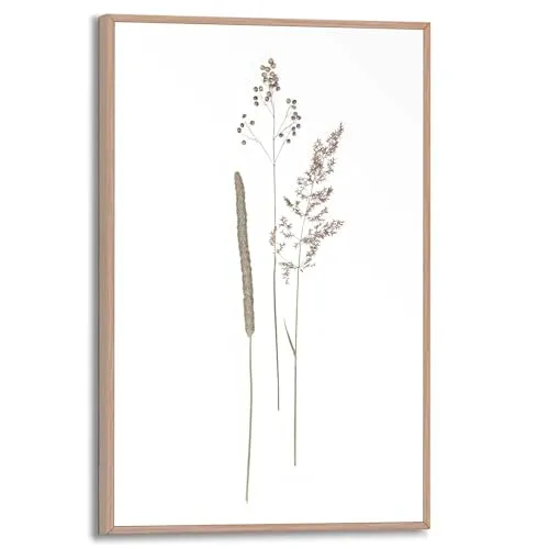 REINDERS Gerahmtes Bild, Dried Flowers, Wohnzimmer, Poster, Wanddeko, Room Decor, MDF, Beige, 30x20cm
