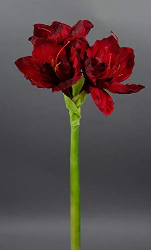 Große Amaryllis 65cm dunkelrot GA Seidenblumen Kunstblumen künstliche Blumen