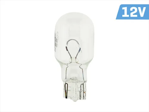 LightingVISION 10x W16W Premium Glassockellampe W2.1x9.5d T15 12 V 16 Watt E-Zertifiziert