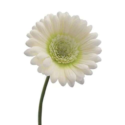 Kunstblumen Gerbera 50cm. Weiß Creme -48