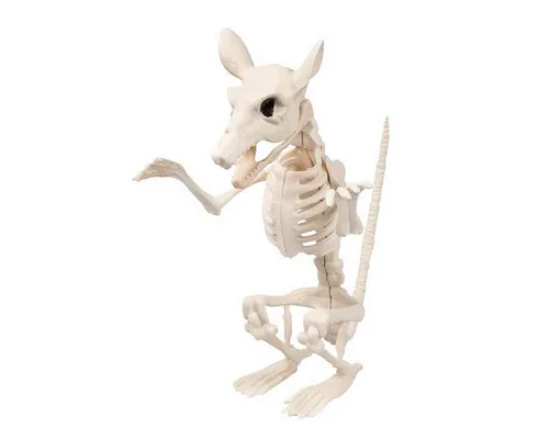 Boland Dekoobjekt Skelett Tier Ratte 'Cheddar' 18 x 15 cm, Beige