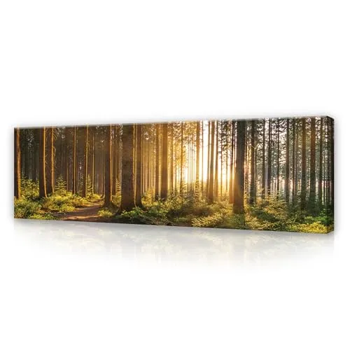 WallArena - Leinwand Bilder - Wald Grün Natur Landschaft - 145x45 cm Leinwandbilder - Bild auf leinwand - Wandbild XXL groß Wandbilder für Wohnzimmer Schlafzimmer Wohnzimmerbilder Modern