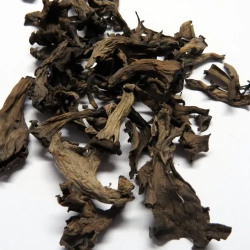 15g Bio Herbsttrompeten getrocknet - von Madavanilla