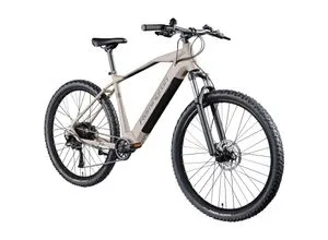 Remington XR01 E-MTB 29 Zoll von REMINGTON