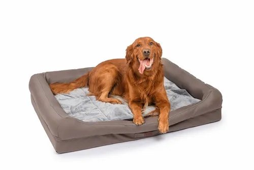RAIKOU Hundematte mit Abnehmbarem Kissen – Bequemes Hundebett - Das RAIKOU Hundebett bietet einen komfortablen Schlafplatz mit anti-allergischem Bezug und leichtem Design. Ideal für zu Hause und unterwegs, perfekt für Hunde aller Größen. Waschbar und praktisch!