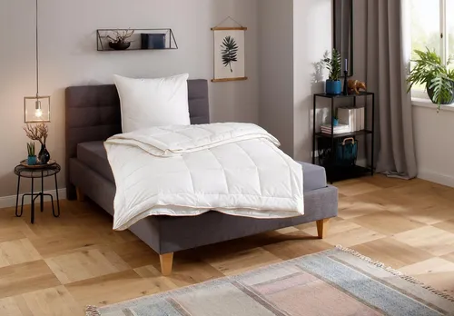 QUEENS TEXTILES Microfaserbettdecke Luxus 135x200 cm - Bettdecken, 4-Jahreszeiten-Bettdecke für ganzjährigen Komfort, mit samtweichem Baumwollbezug und allergikerfreundlicher Füllung.