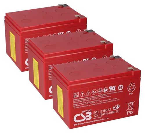 Akkusatz für Mach1 36V Akkupack