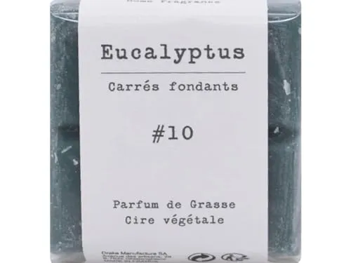 Duftzauber Tabs – Aroma-Schmelzlinge aus Duftwachs | Schmelztabletten für Duftlampen & Wachswärmer | Aromawachs für intensives Dufterlebnis (Quadrat, Nr.10 - EUCALYPTUS)