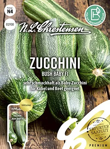 Zucchini Bush Baby F1, sehr schmackhaft als Baby-Zucchini, Samen