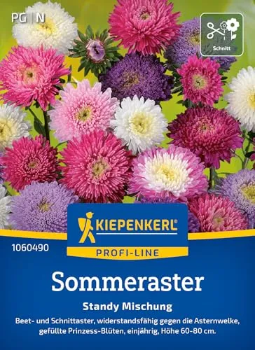 Kiepenkerl Profi-Line Sommerastersamen Standy Mischung 1060490 - widerstandsfähige Beet- und Schnittaster mit Prinzess Blüten - Pflanzensamen, Blumenmischung, Saatgut