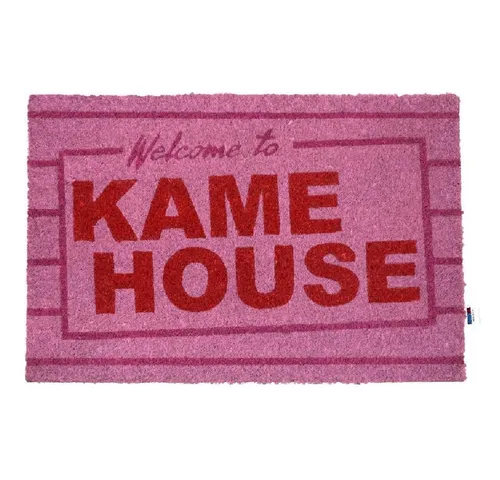 SD Toys Fußmatte Dragon Ball Kame House Türmatte in pink von SD Toys