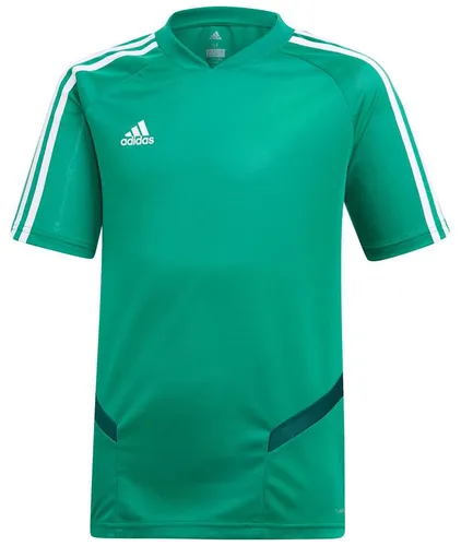 adidas Tiro19 Tr Jsyy Fußball-Trikot Grün DW4810