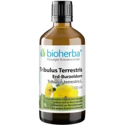 Tribulus Terrestris Erd-Burzeldorn Tropfen Tinktur 100 ml