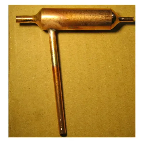 Candy 43009052 Kühlschrank Dörrautomat Filter von Süßigkeiten