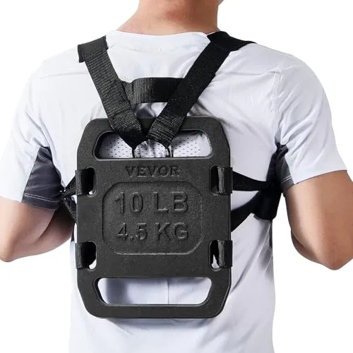 VEVOR Ruckgewichte Gusseisen Gewichtsplatte in schwarz von Vevor