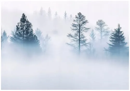WallArena Vlies Fototapete Wald Nebel Landschaft 400x280 cm - Hochwertige Vlies Fototapete für Wohnzimmer und Schlafzimmer mit 3D Effekt, inklusive Kleister für einfache Montage und eine lebendige, detailreiche Optik.