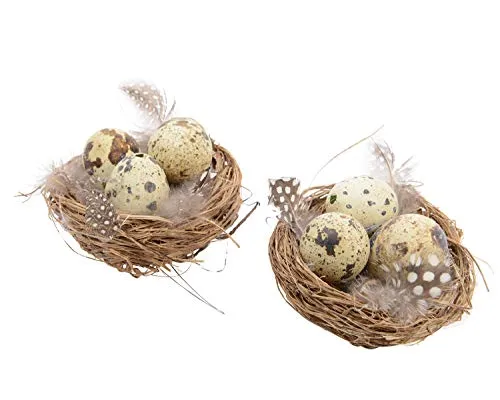 Weidennester mit Wachteleier 2