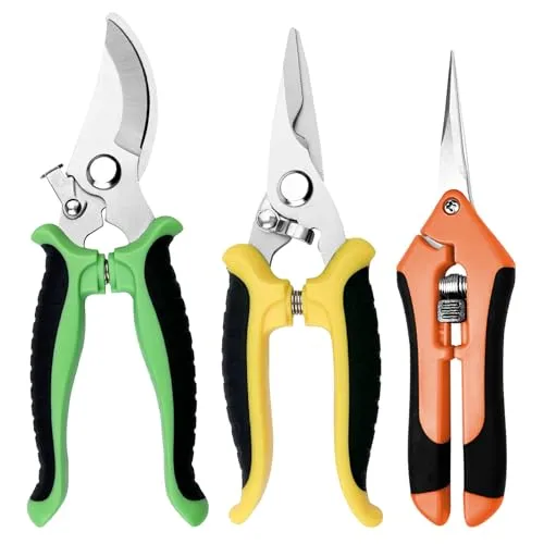 Chiluxendo 3 Stücke Gartenschere Klein, Rosenschere Profi, Pflanzenschere Rosen, Blumenschere Gartenscheren, Gartenscheere Feinschnitt, Schere Garten, Rosenscheren, Pruning Shears, Kleine Astschere