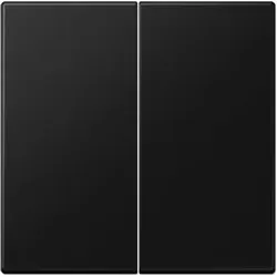 Jung Elektroschalter von Jung