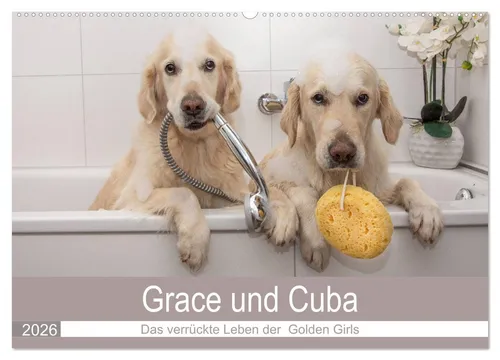 CALVENDO Wandkalender Grace und Cuba - Das verrückte Leben der Golden Girls (Wandkalender 20
