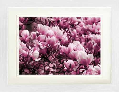 1art1 Poster Blumen Gerahmtes Bild Mit Edlem Passepartout, Wand-Bilder