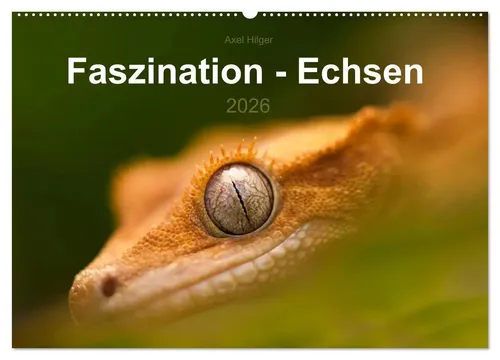 Axel Hilger | Faszination - Echsen (Wandkalender 2026 DIN A2 quer) - Entdecken Sie die faszinierende Welt der Echsen mit diesem hochwertigen Wandkalender von Axel Hilger. Ideal für Tierliebhaber und eine stilvolle Wandgestaltung.
