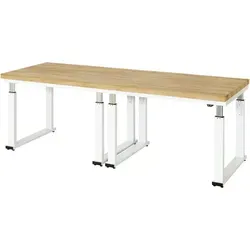Rau Werkbank Serie adlatus 600 - Elektrisch höhenverstellbar - Werkstatteinrichtung mit 4 cm starker Buche-Massiv-Platte, ideal für ergonomisches Arbeiten. Hubgeschwindigkeit von 3,8 cm/Sek. und Traglast von 600 kg.