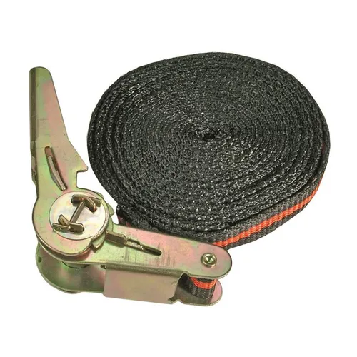 BGS-3550 Knarren-Spannband 5 m lang 25 mm breit